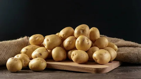 سیب زمینی عمده + بار تازه و عالی